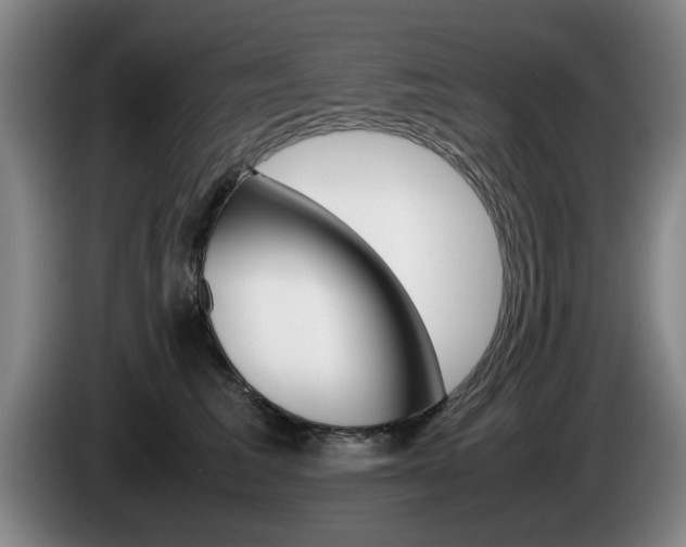 X0000085310613200703091055