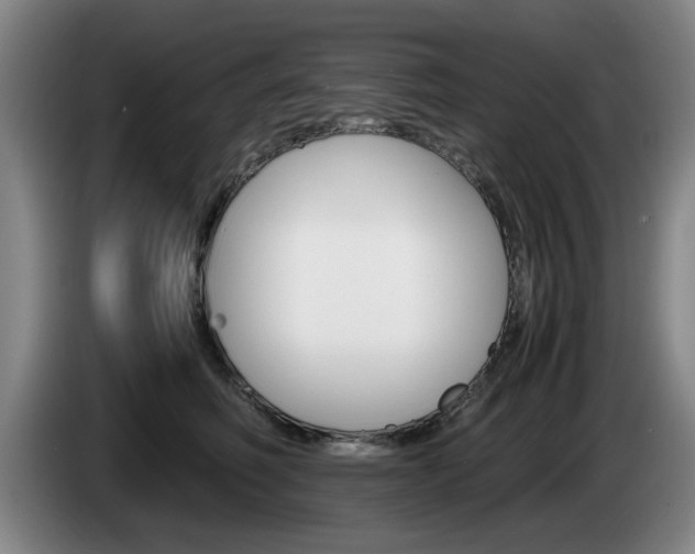 X0000085310614200703091055