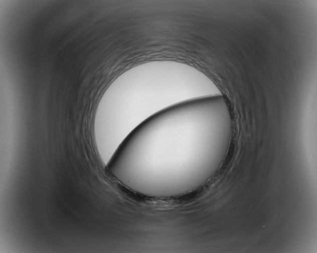 X0000085310615200703091055