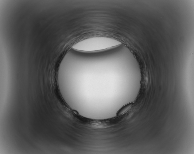 X0000085310616200703091055