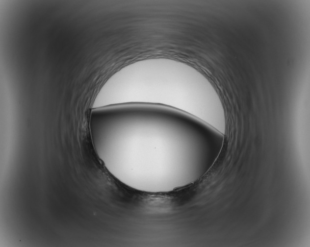 X0000085310617200703091055