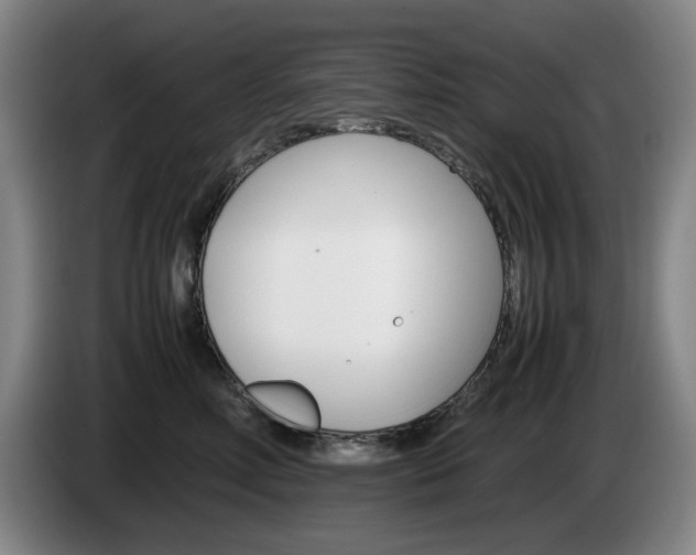X0000085310618200703091055