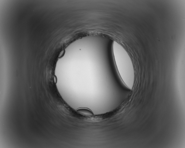 X0000085310619200703091055