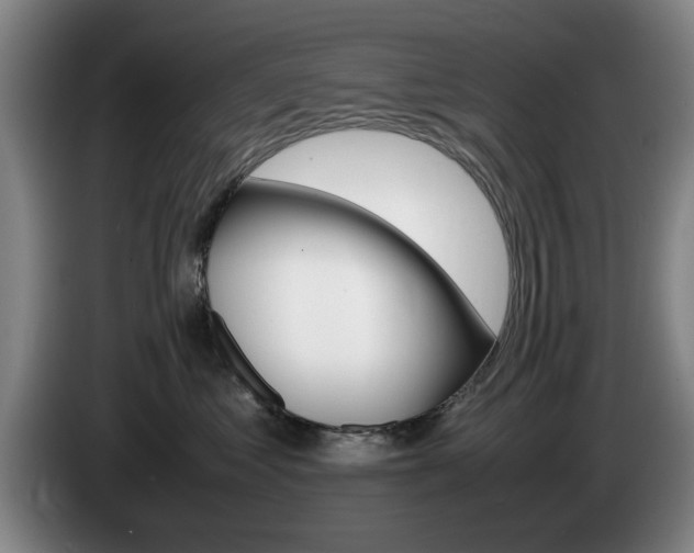 X0000085310621200703091055