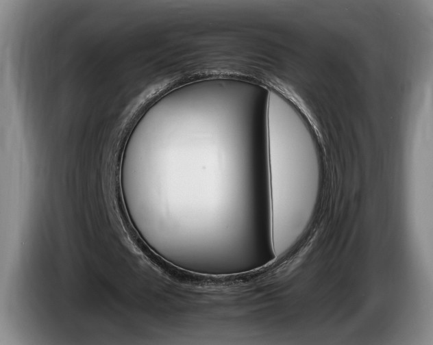 X0000085310625200703091055
