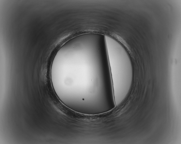 X0000085310627200703091055