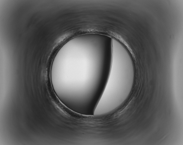 X0000085310629200703091055