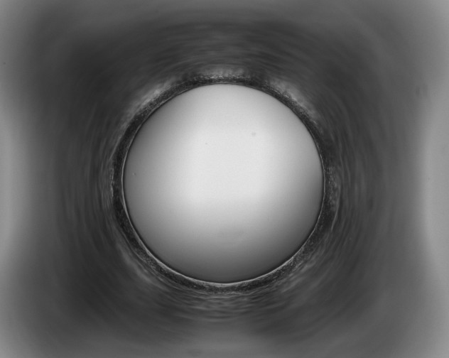 X0000085310631200703091055