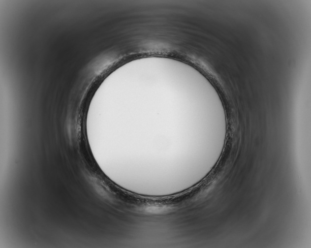 X0000085310632200703091055