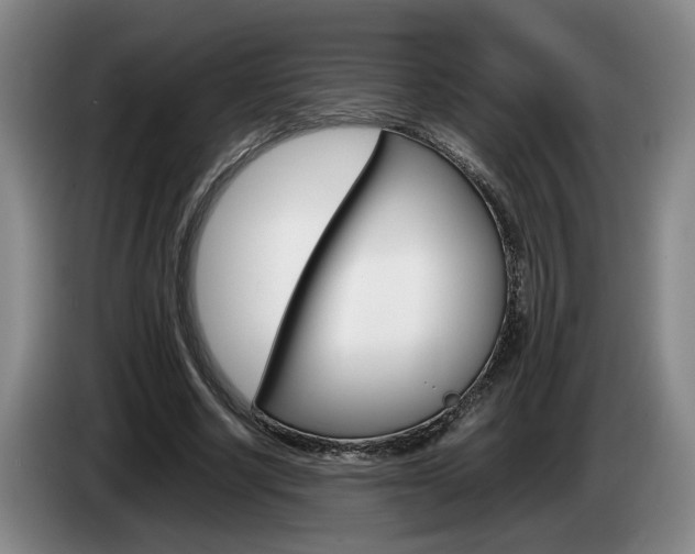 X0000085310634200703091055
