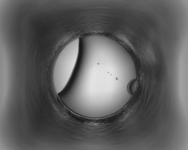 X0000085310635200703091055