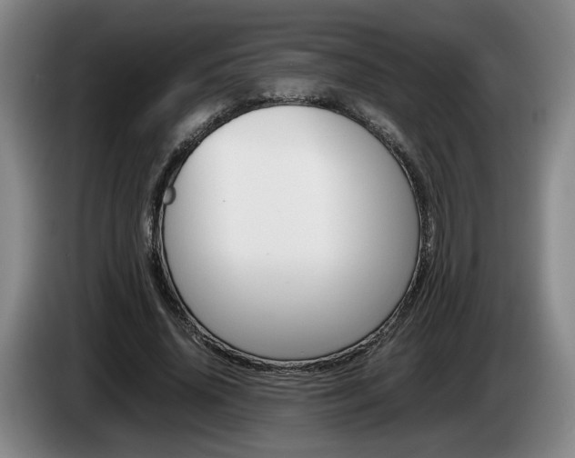 X0000085310636200703091055