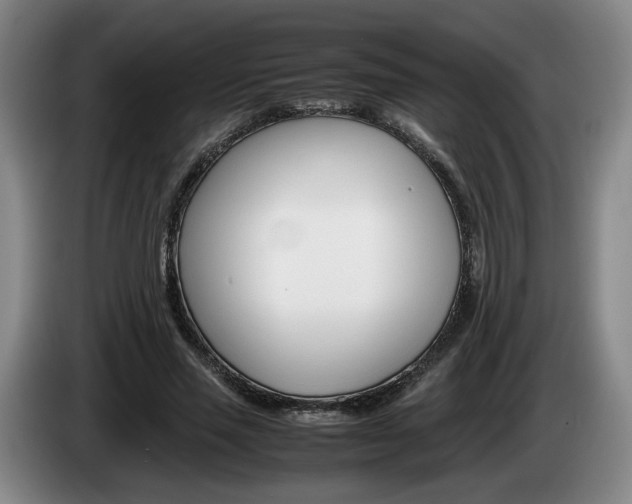 X0000085310637200703091055