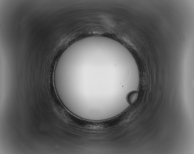 X0000085310639200703091055
