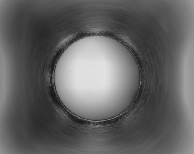 X0000085310640200703091055