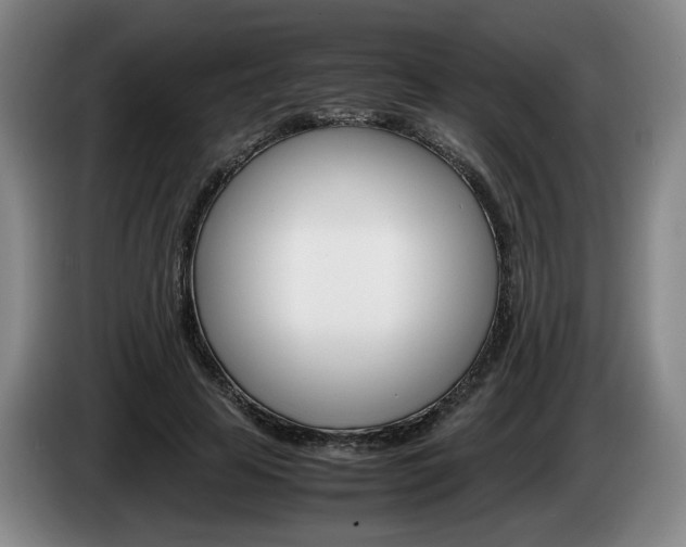X0000085310641200703091055