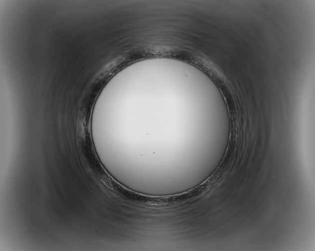 X0000085310644200703091055