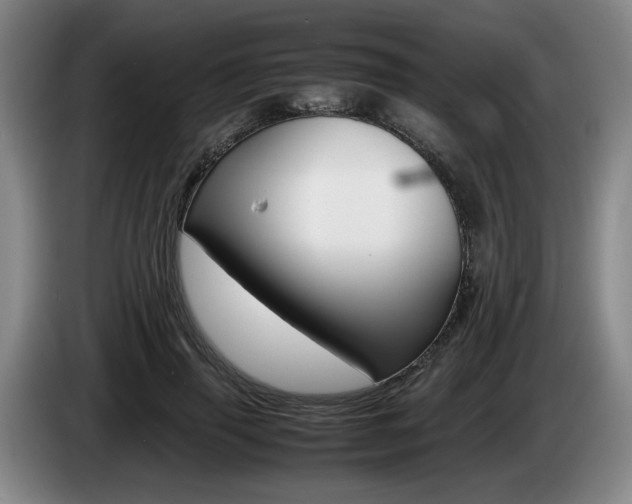 X0000085310645200703091055