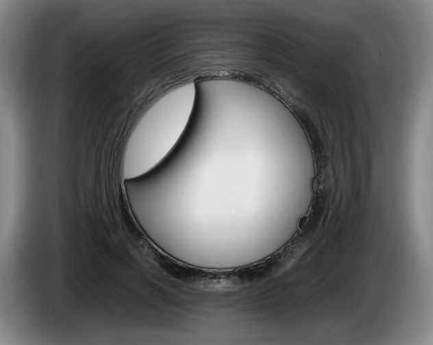 X0000085310646200703091055