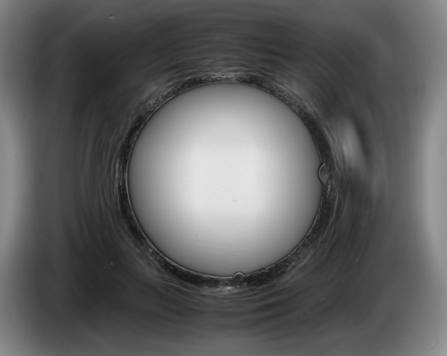 X0000085310647200703091055