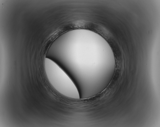 X0000085310648200703091055
