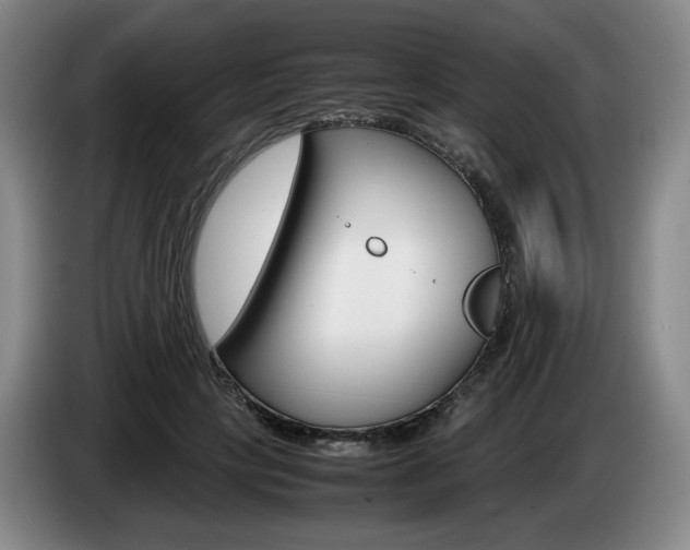 X0000085310649200703091055