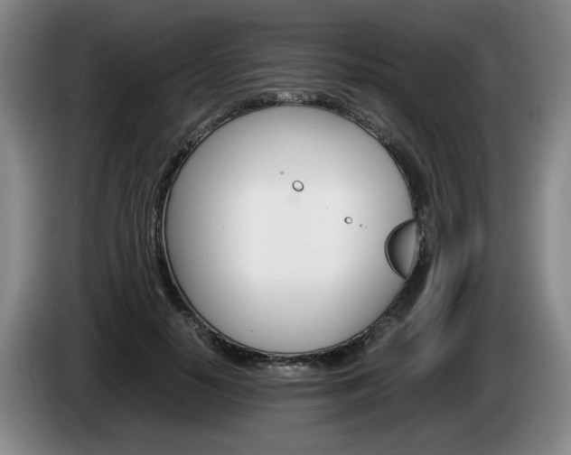 X0000085310650200703091055