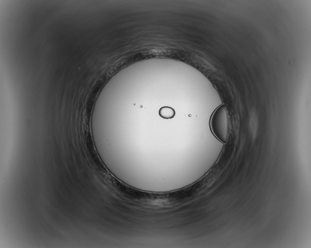 X0000085310651200703091055