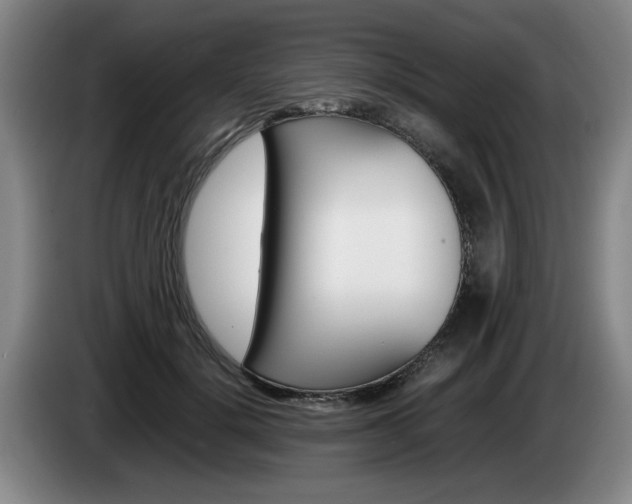 X0000085310652200703091055