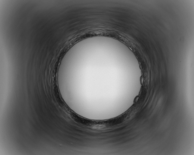X0000085310653200703091055