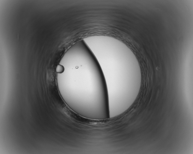 X0000085310654200703091055