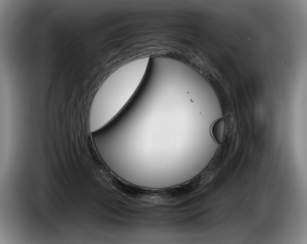 X0000085310655200703091055