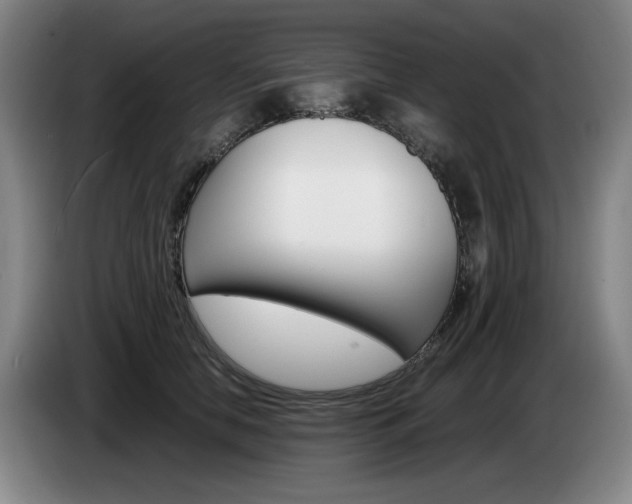 X0000085310658200703091055