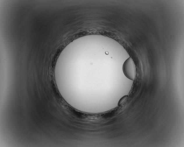 X0000085310659200703091055