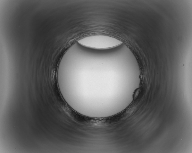 X0000085310660200703091055