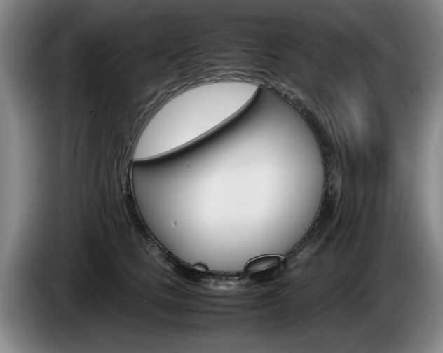 X0000085310661200703091055