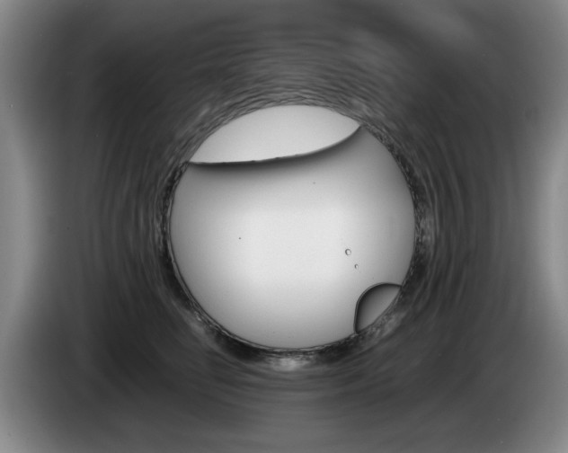 X0000085310662200703091055