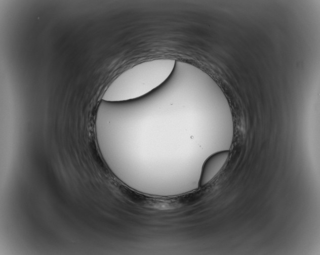 X0000085310663200703091055