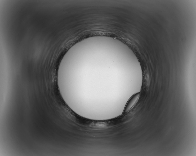 X0000085310665200703091055