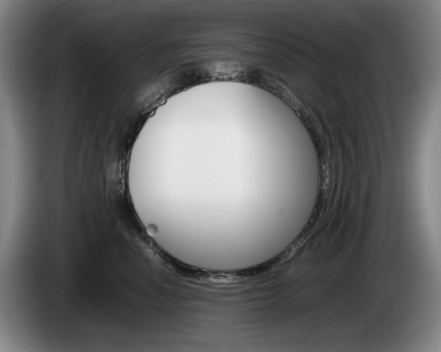 X0000085310666200703091055