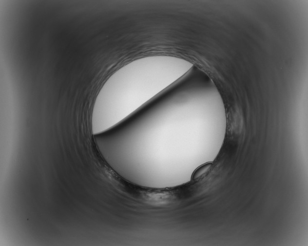 X0000085310669200703091055