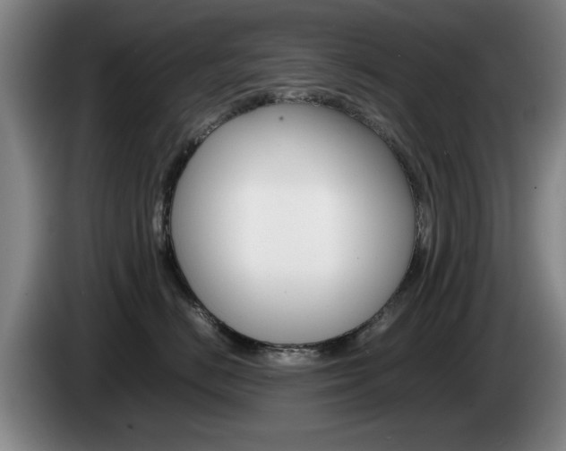 X0000085310670200703091055
