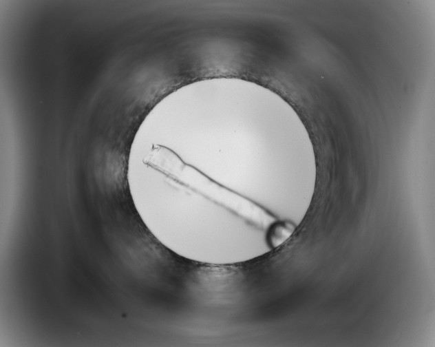 X0000085310672200703091055