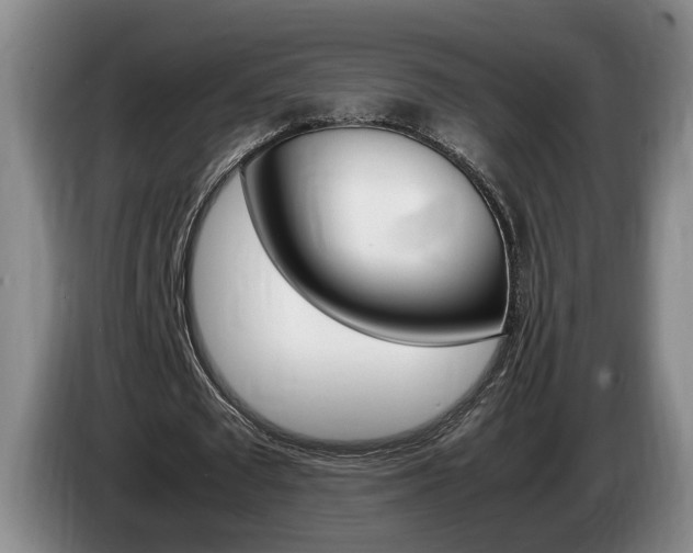 X0000085310673200703091055