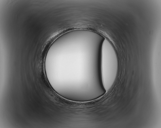 X0000085310675200703091055