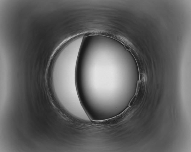 X0000085310676200703091055
