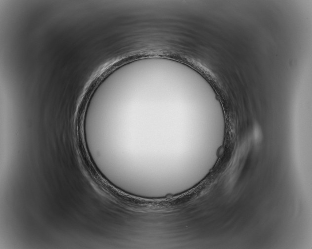 X0000085310678200703091054