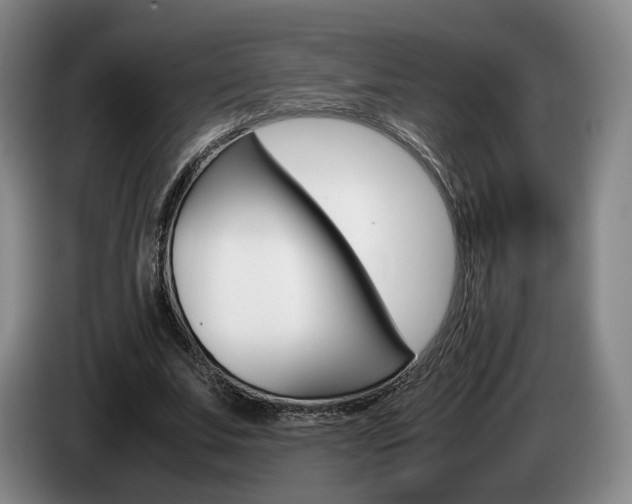 X0000085310679200703091054