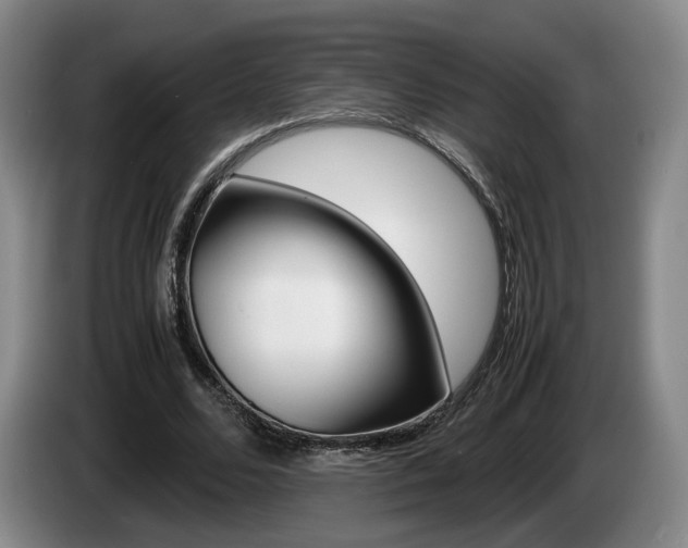 X0000085310680200703091054