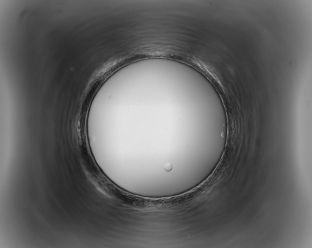 X0000085310682200703091054